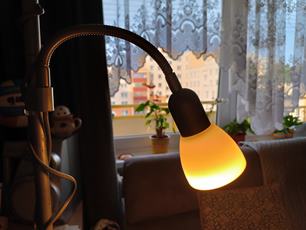 photo