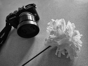 photo
