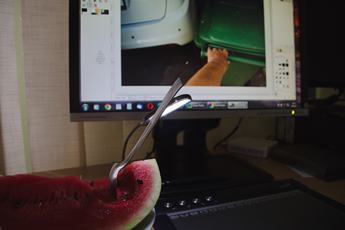 photo