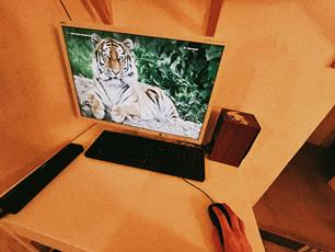 photo