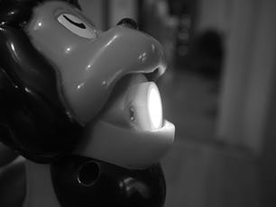 photo