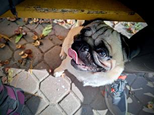 photo