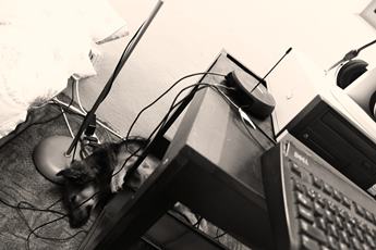 photo