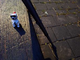 photo