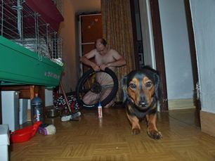 photo