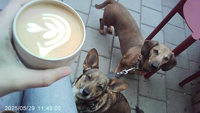 photo