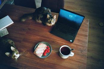 photo