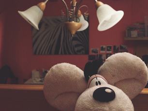 photo