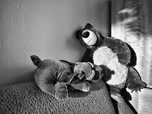 photo